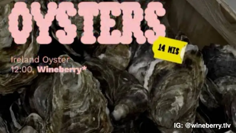 Oysters