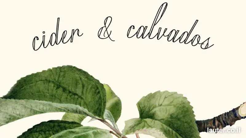 Sparkling apples: cider and calvados